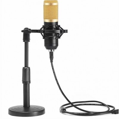 Πυκνωτικό Μικρόφωνο με Βάση Στήριξης και Pop Filter