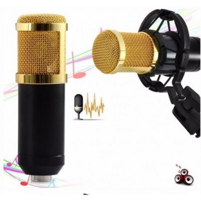 Πυκνωτικό Μικρόφωνο με Βάση Στήριξης και Pop Filter