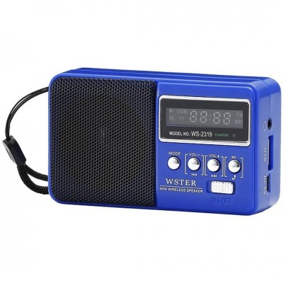 Φορητό Ραδιόφωνο Επαναφορτιζόμενο με Bluetooth και USB WSTER WS-2319