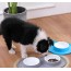 Πλαστικό ΜπολΤαίστρα Φαγητού & Νερού 2 Θέσεων με Αντιολισθητική Βάση για Σκύλους & Γάτες