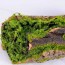 Διακοσμητικό Τεχνητό Φυτό Κορμός Deadwood 52x17x13cm