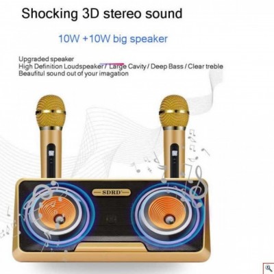 Φορητό Ηχοσύστημα Bluetooth USB/SD Karaoke Με 2 Μικρόφωνα Mp3 Player - Multimedia Speaker Μαύρο SD-301