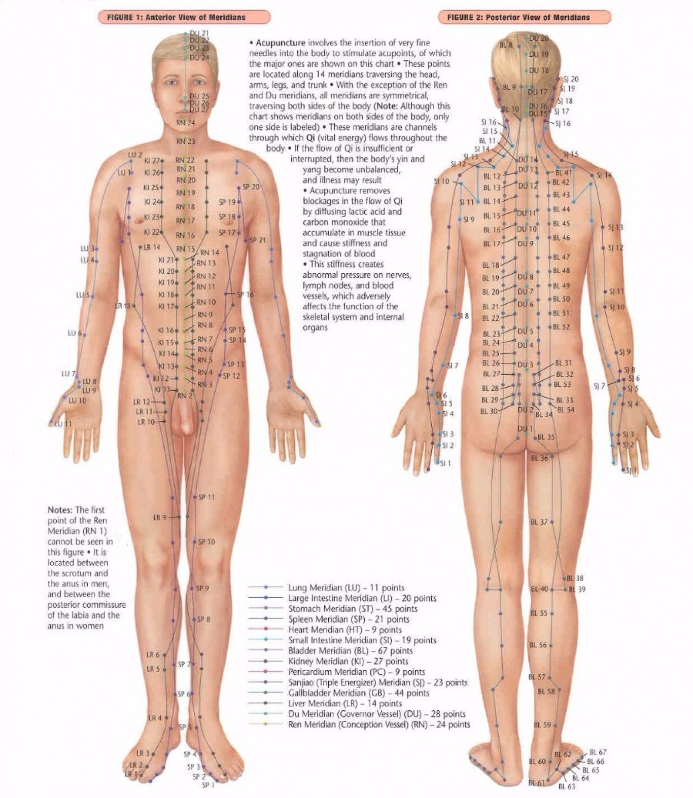 Φορητή Συσκευή / Στυλό Ηλεκτροβελονισμού - Electronic Meridian Acupuncture Pen για Αυτοθεραπεία και Ανακούφιση από Πόνους | Klikit.gr