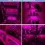 Αυτοκόλλητη Ταινία LED 3m USB Ανάπτυξης & Καλλιέργειας Φυτών Full Spectrum - Φωτιστικό Θερμοκηπίου Εσωτερικού Χώρου - Plant Grow Light Strip