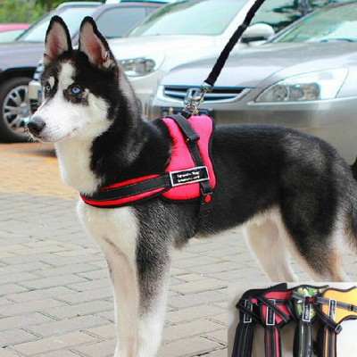 Εκπαιδευτικό Ρυθμιζόμενο Σαμαράκι - Λουρί Σκύλου - SportsDog Harness Set Μαύρο