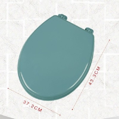Καπάκι Τουαλέτας Πλαστικό Σκούρο Πράσινο 37,2x43,3 εκ